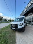 Ford Transit 2.2 Tdi Minibús 17+1 (25)